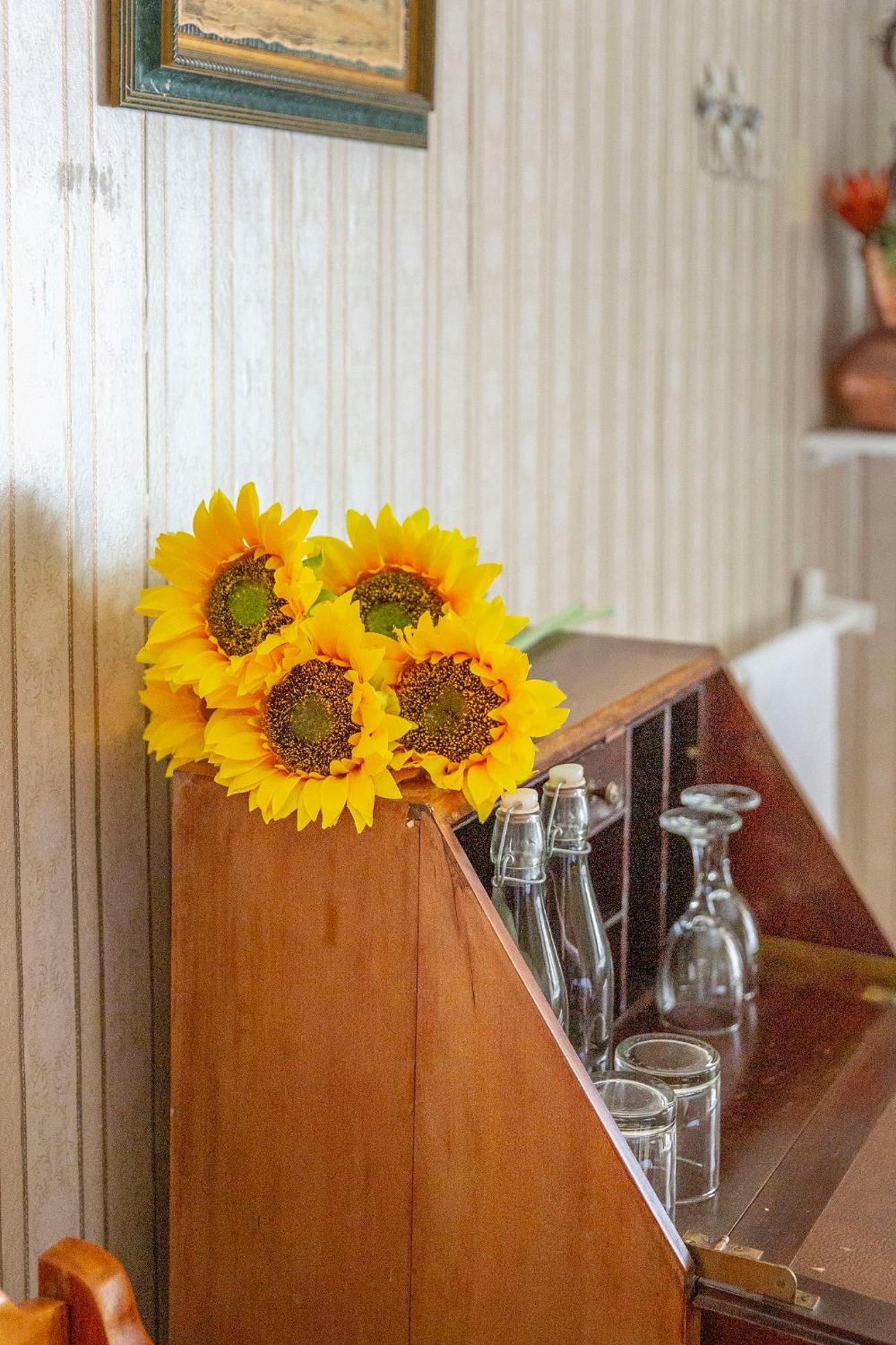 Airlies Historical Guest House Montagu Ngoại thất bức ảnh